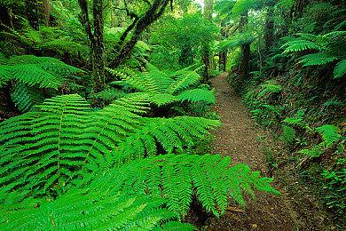 鬼蟹：《英雄联盟》MMO将尊重玩家的时间